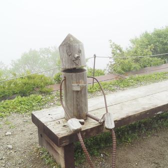 わっしょい