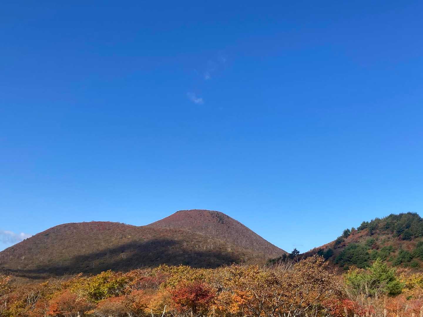 紅葉しててキレイです🍁