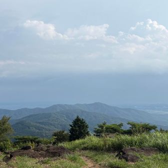 ちょっとモヤってますがキレイです😊