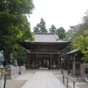 薬王院
紅葉が少し始まっています🍁