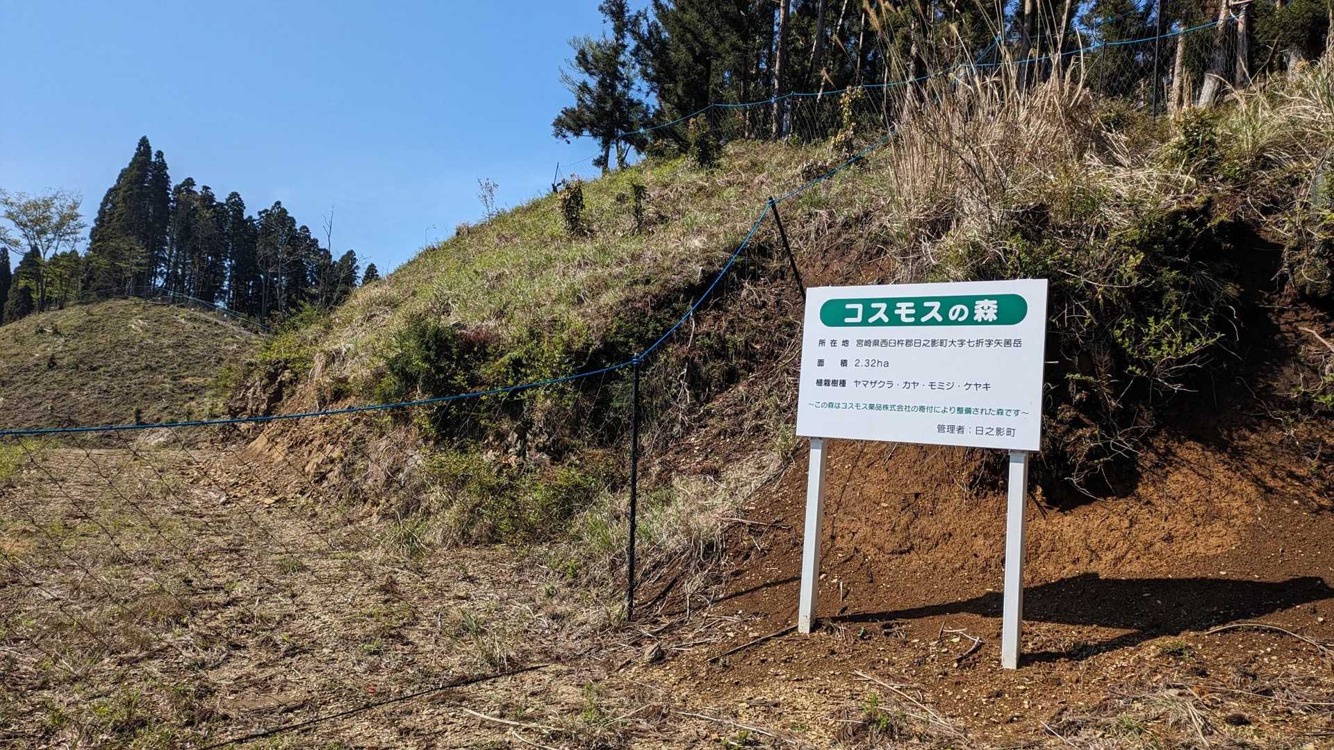 この脇にバイクを置いてスタートです。