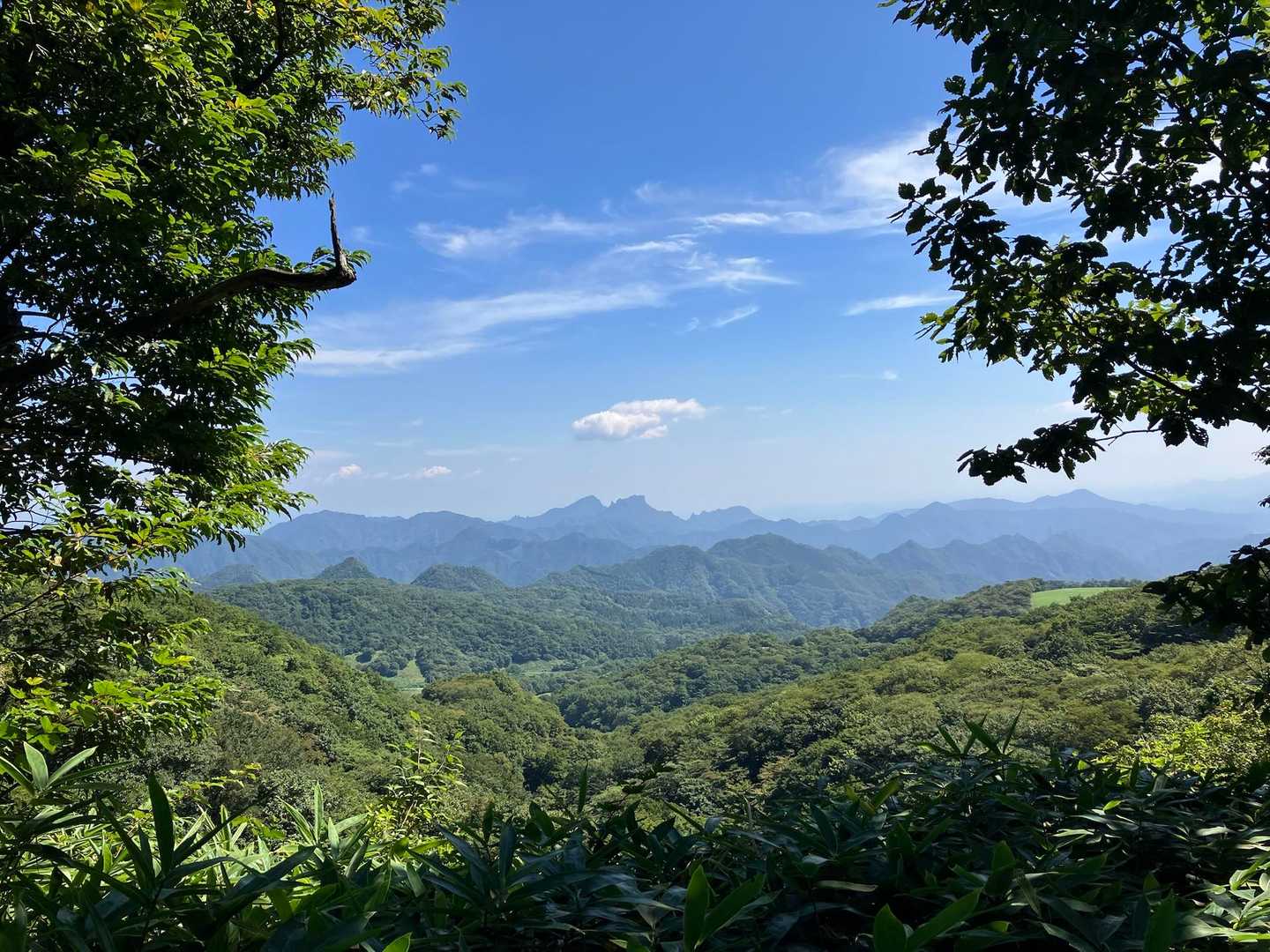 時々開けた場所があります。