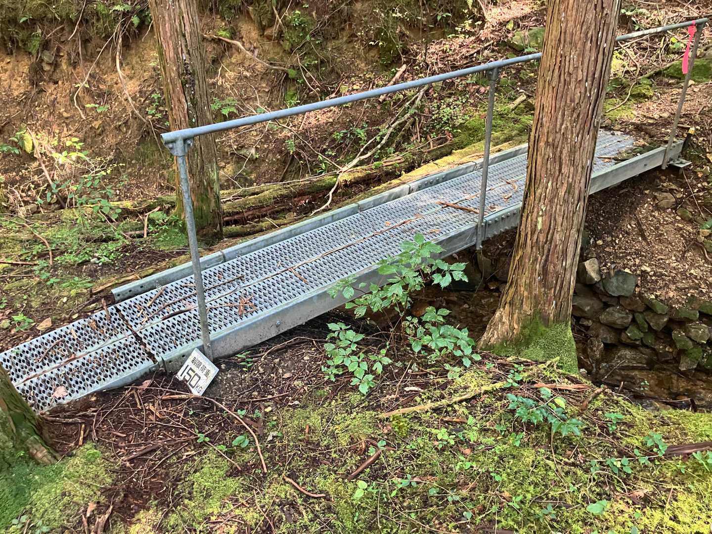 正しい道の場合、ぬかるんだ水田跡の後で、これが現れます。
