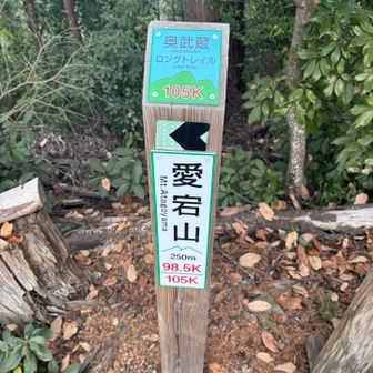 奥武蔵ロングトレイルというコースがあるようです。帰宅後調べたら、正丸峠を最奥に高麗川と入間川流域の山々を結ぶもの。飯能中央公園を起点としロング１０５ｋｍ、ショート３５ｋｍ、チャレンジ２０ｋｍと体力に合わせて設定されているようで、何回かに分けて歩破したいな、と思いました。