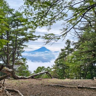 わぉ！富士山。
