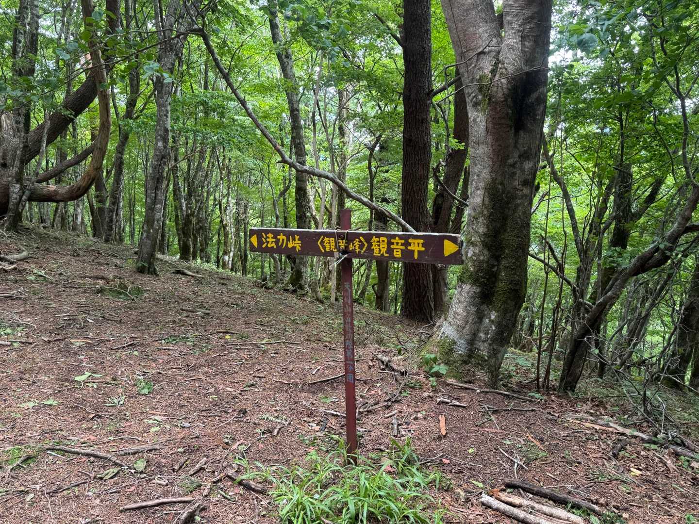 観音峯登山口-観音峯山-法力峠-稲村ヶ岳登山口 縦走コースの写真