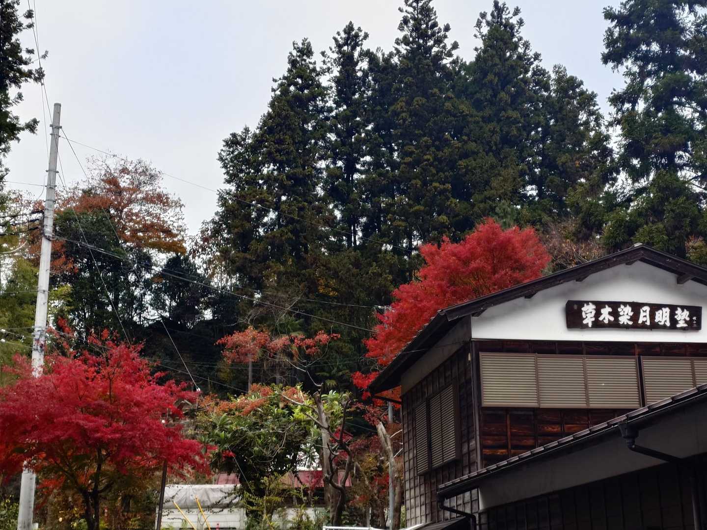 綺麗な景色ばかりで全然進まない📷️