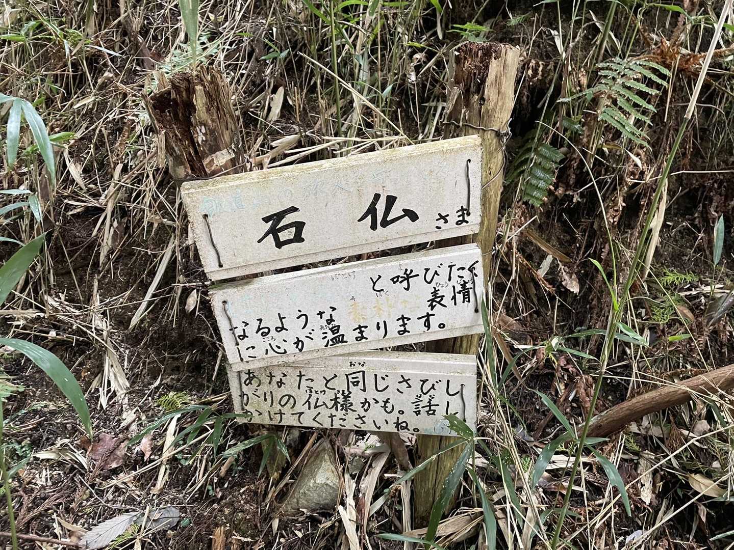 じゃあ見に行こ