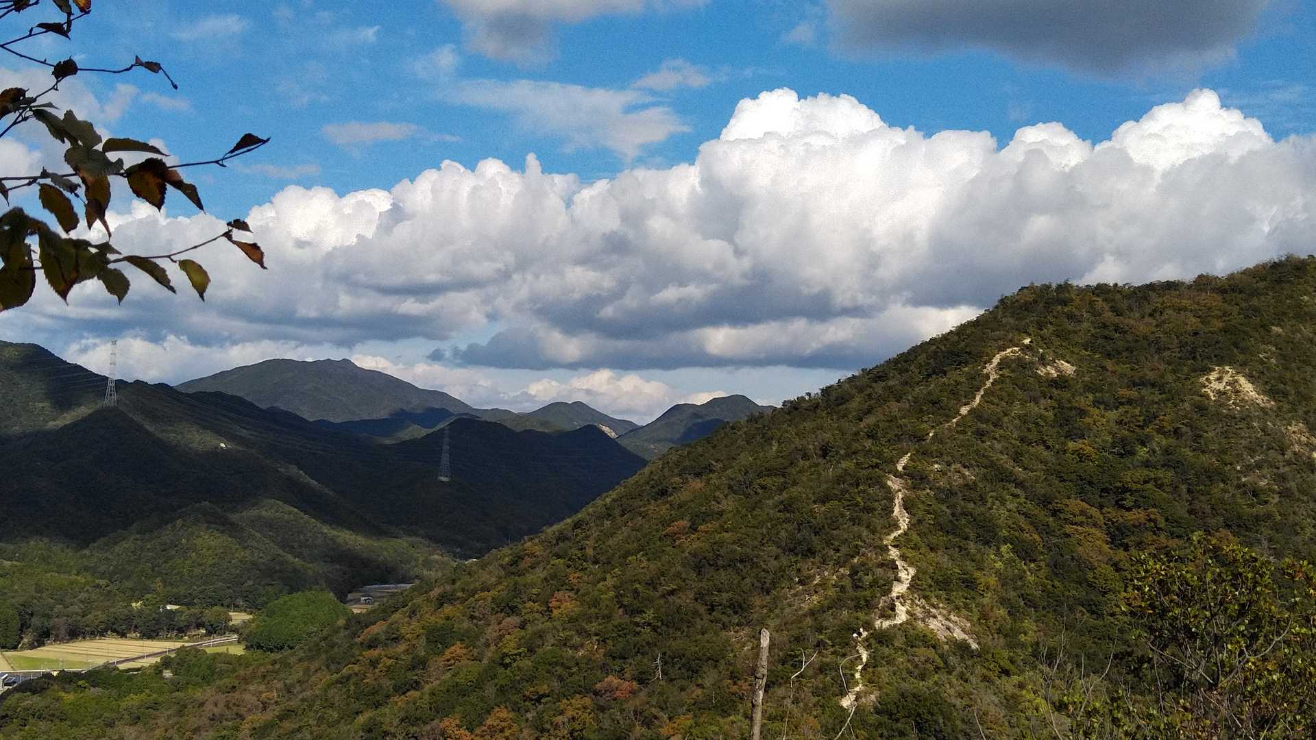 振り返ると登山道くっきり👊😆🎵