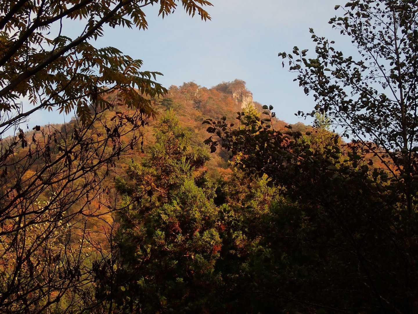 丁須の頭登山口-馬頭観音-もみじ谷-三方境-谷急山 往復コースの写真