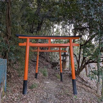 高岡山の鳥居が修復されてました。
以前は鳥居が横たわっていました😅