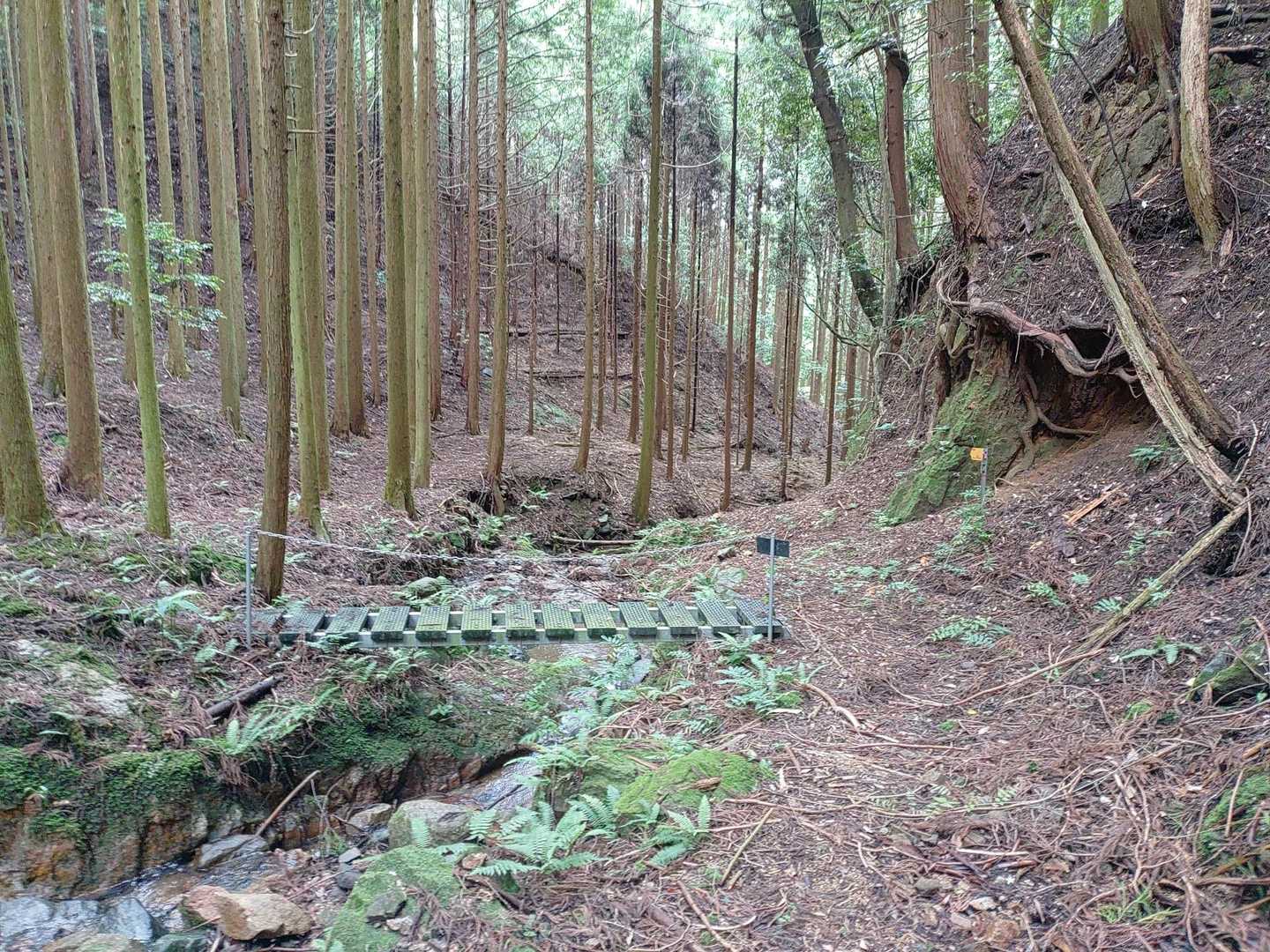 国分寺-国分寺山-明星ヶ岳 往復コースの写真