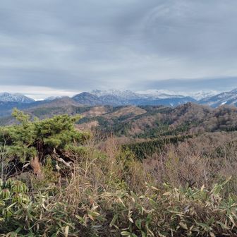 山頂から今日の展望。