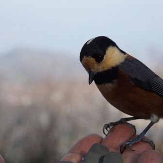 可愛すぎる❤️