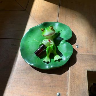 カエル🐸