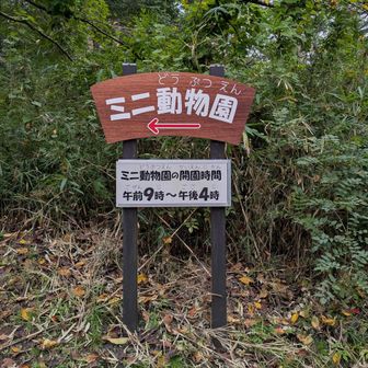 驚きの動物園あり