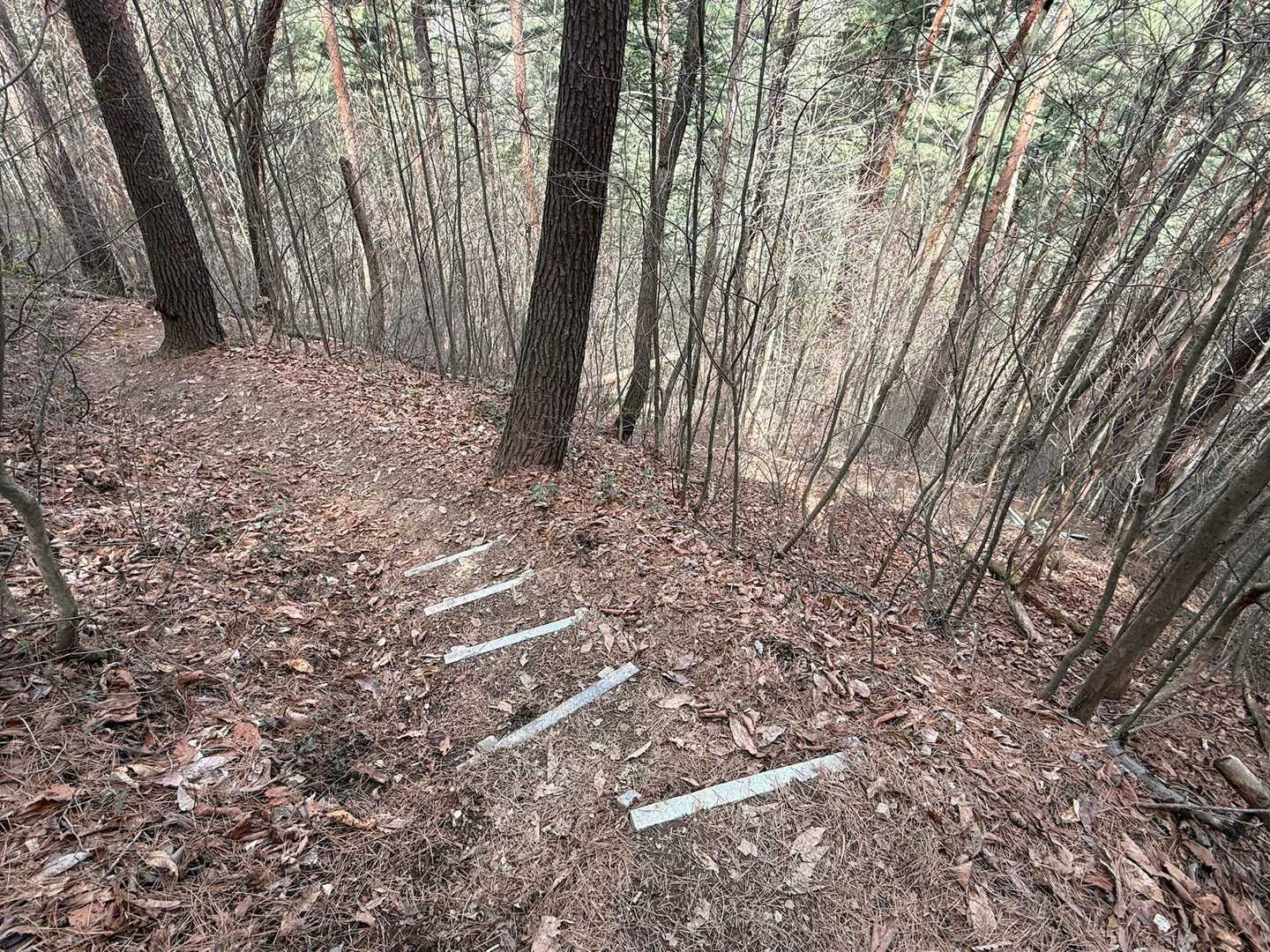 今回利用した2つの登山道、両方とも歩きやすくて良きです🥺