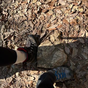 では、天国の階段を登るよ❗️
権現山ラブの石🩷