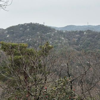 舟下山の先　穴岩より