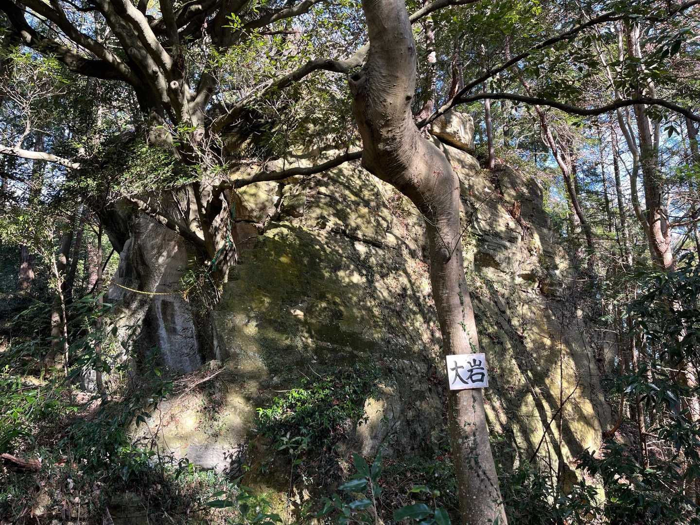 ここが大岩