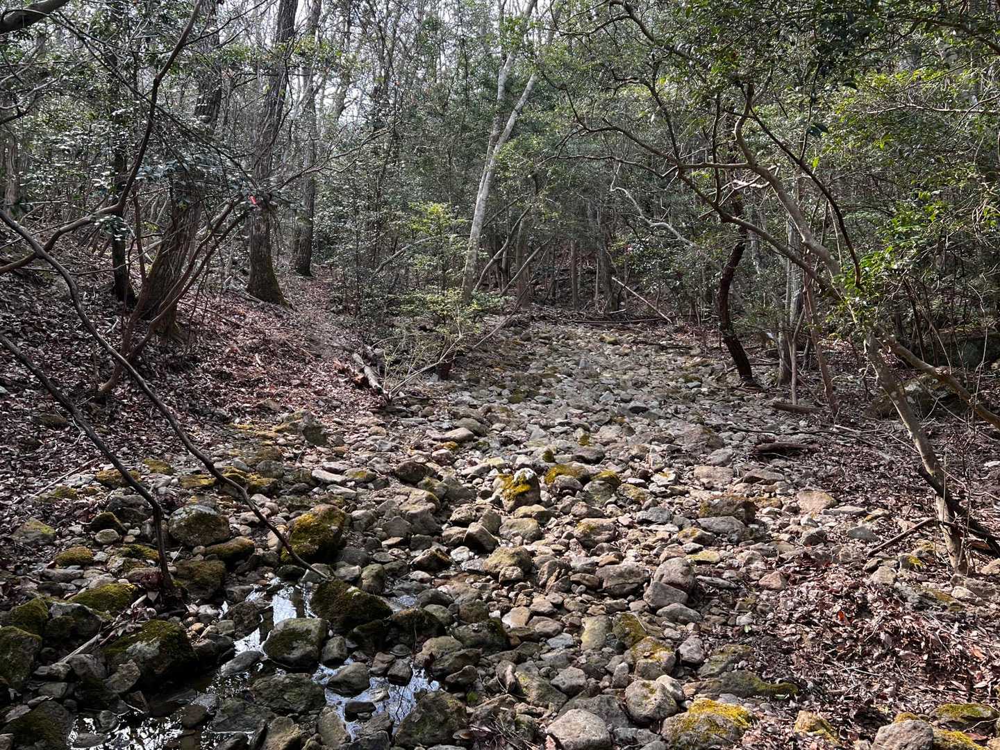 幾度か渡渉して、コースもいよいよ最終盤。ここは左の山裾がルートだが、川原を歩いてもよし。