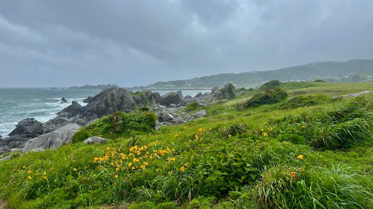 みちのく潮風トレイル（蕪島〜種差海岸）／青森遠征Day2 の写真 48