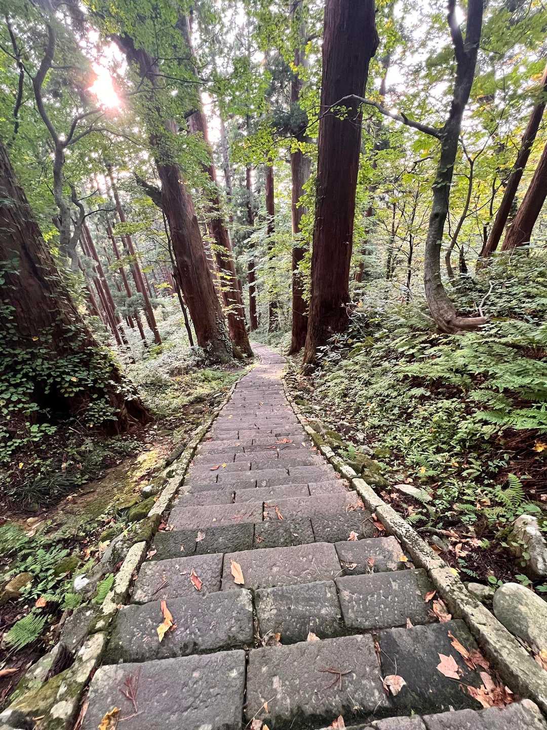 一通り見学して下山
途中汗でマスクしてると呼吸困難になりマスク外すと鼻水と汗でマスクが薄ピンク色に😱
でも出血は治り腫れも酷くならなかったので、明日予定通り鳥海山へ行く事にします😱