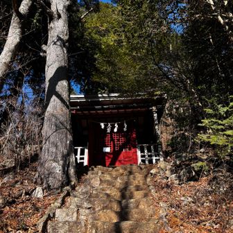 この右手または左手から奥の院峰に登れます