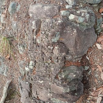 みんな大好き板状摂理