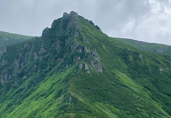 273号線側登山口～ニセイカウシュッペ山（往復） / しみまんの登山