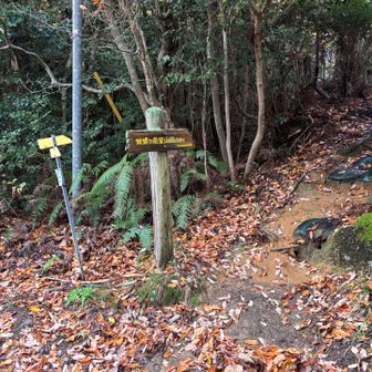 バス停から10分ほど🚶‍♀️‍➡️
蠑螺ヶ岳登山口▶️
