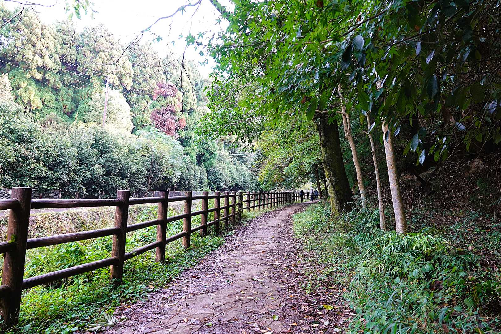 比叡山 | 歴史と自然が交わる、京都北山の縦走路の写真