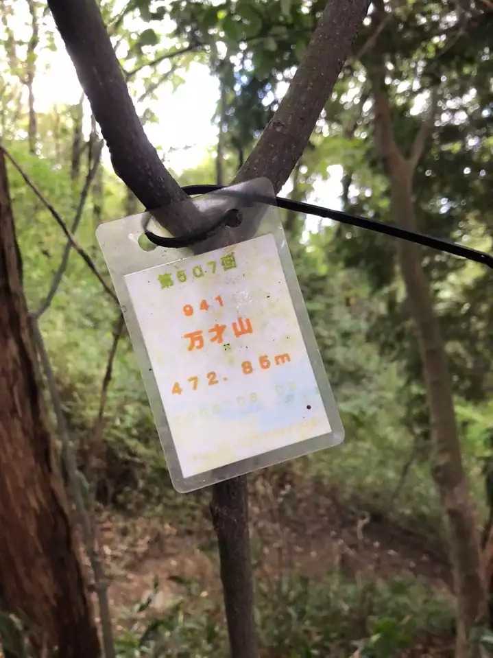 万才山の写真