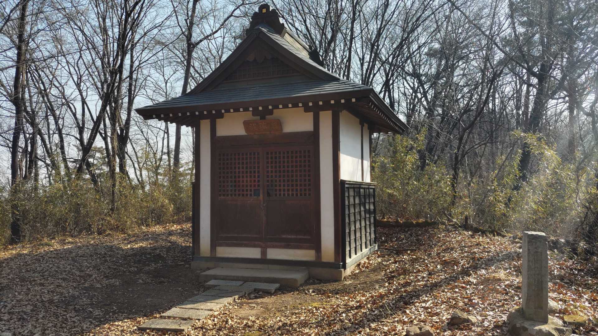 この先の藪（？）の中に進むと