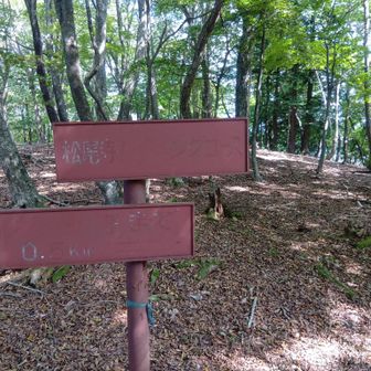 文字が消えた看板が分岐ポイント
