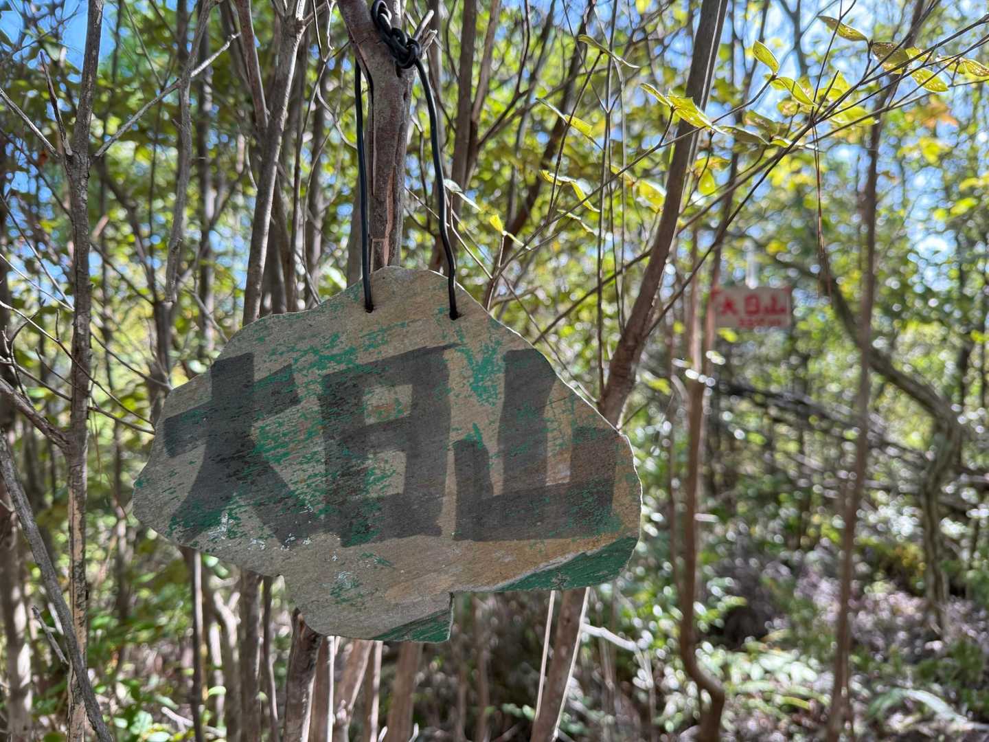 一本松山-鉄塔-大日山 周回コースの写真