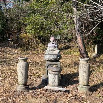 パッと見、宙に浮いている様に見えました♪
