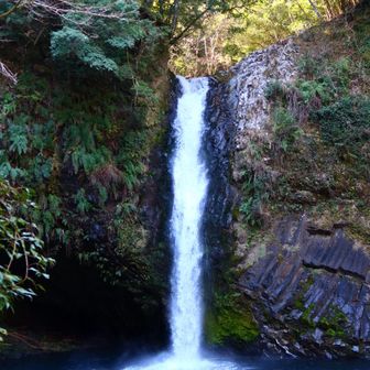 歌で知ってた浄蓮の滝、想像以上💦