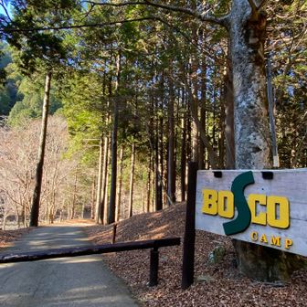BOSCOキャンプ場まで下山後は舗装路で
