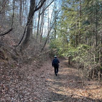 下山ルートはとっても歩きやすい道
