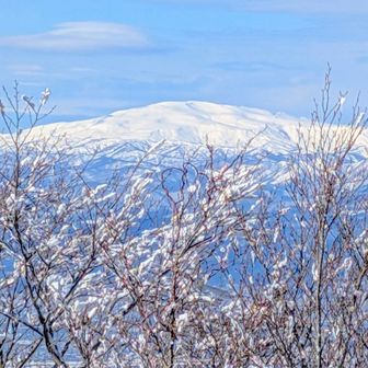 🔍　🏔️月山　