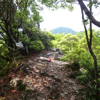 兵庫山の頂上