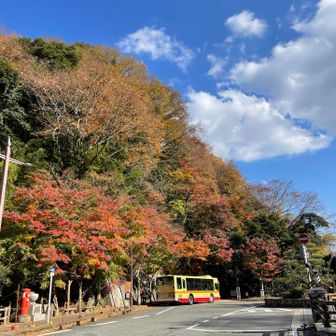 バス停まで着きました🚌ここにも紅葉🍁いい感じ

良い天気☀️で富士山見れたし升ティラミス食べれたし、今回の山歩きも楽しかったです🥴🐻