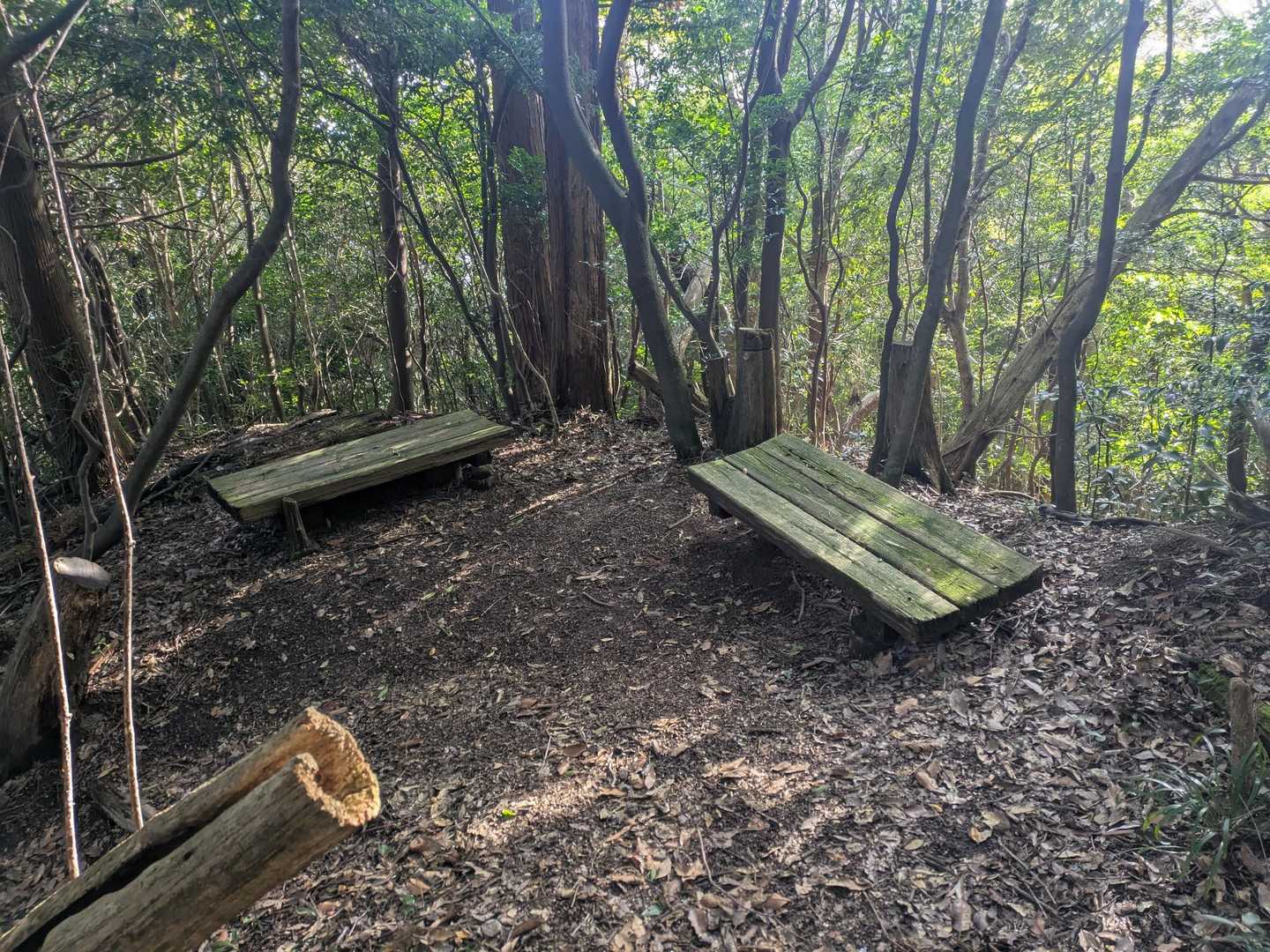 天狗山-七面山 周回コースの写真