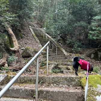 急な階段を上がります