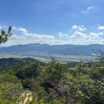 なんとか辿り着けた頂上