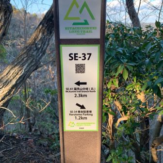 ここがランドマーク