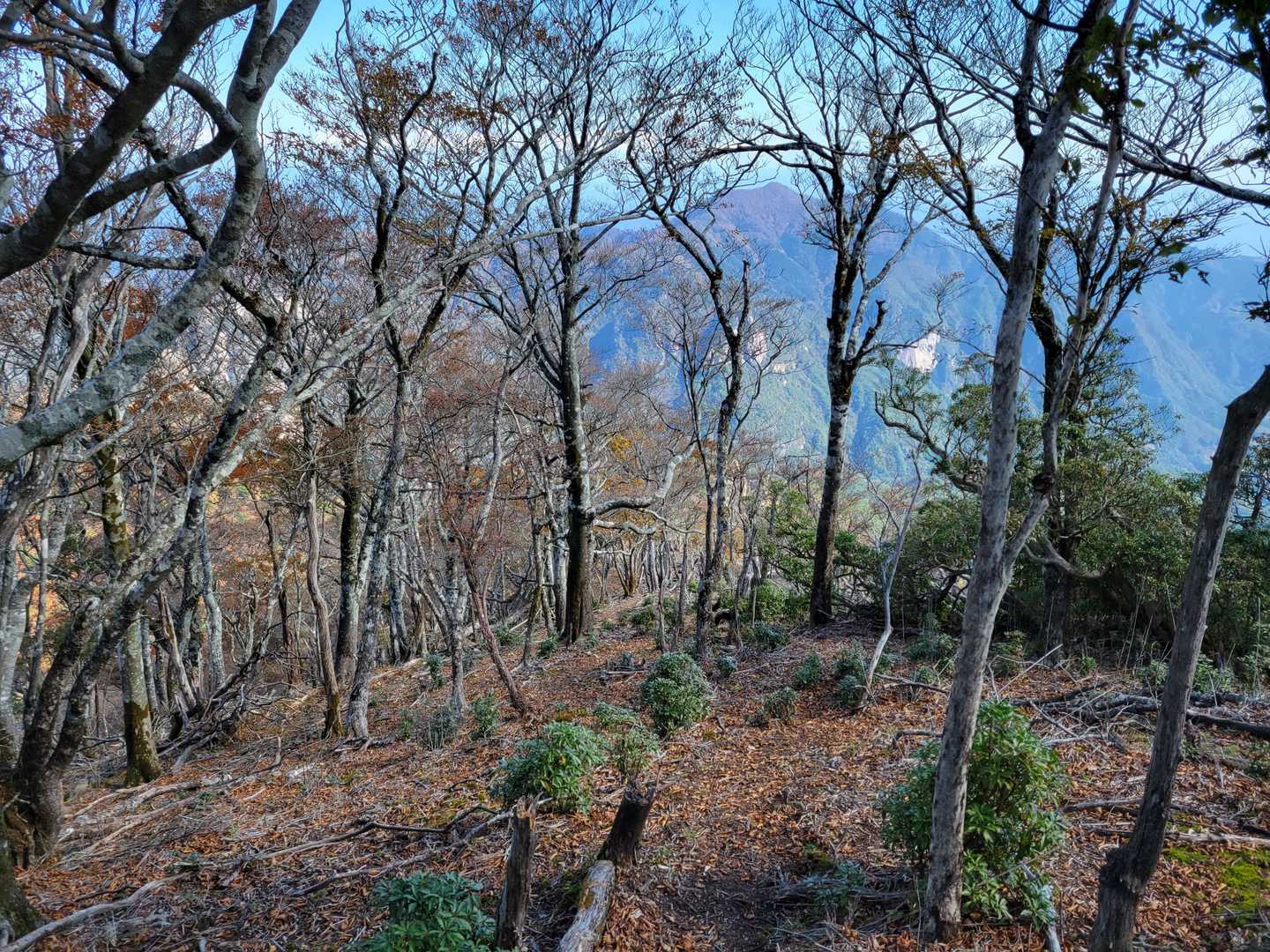 ２年前に下った二枚ダキコース