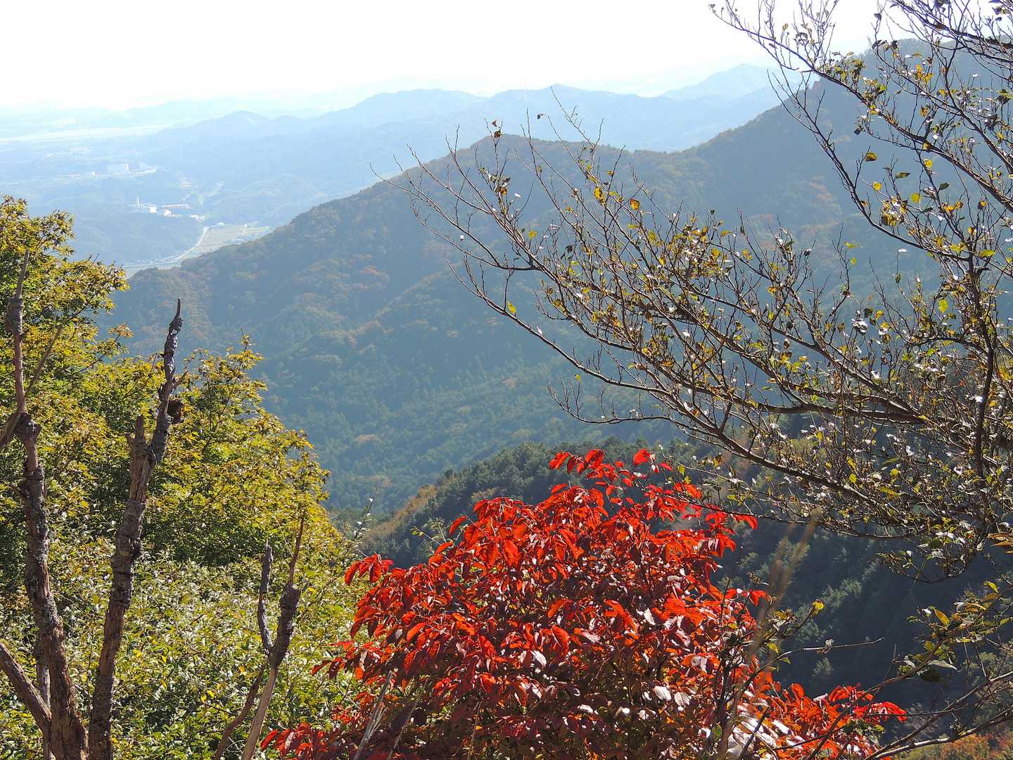 堀坂峠-堀坂峠の高-観音岳 往復コースの写真
