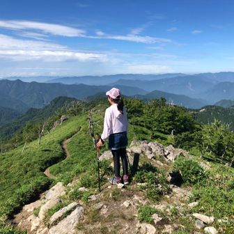 うさぎマイスター